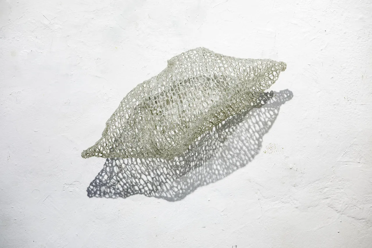 Zellformation, 2009, Gehäkelter Draht mit Kunststoff, 25 x 52 cm