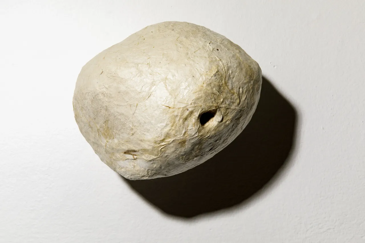 Biomorph 05, 2018, Hanfpapier kaschiert, 23 x 24 x 23 cm