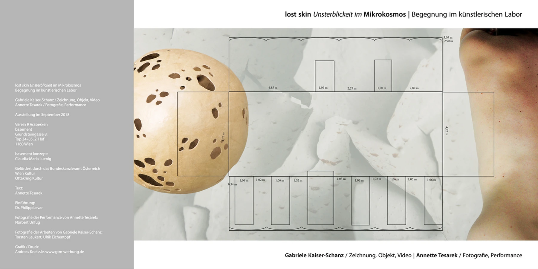 lost skin Unsterblickeit im Mikrokosmos