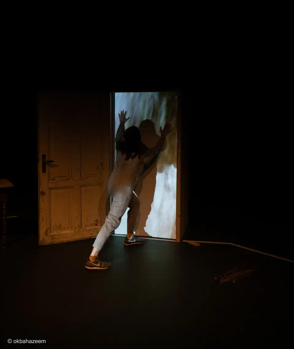 TRANSIT-Panta rhei, 2021, Performance 